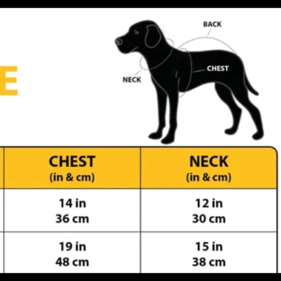 Winter Jacket for small breed Dog in Red - Picture 5 of 5